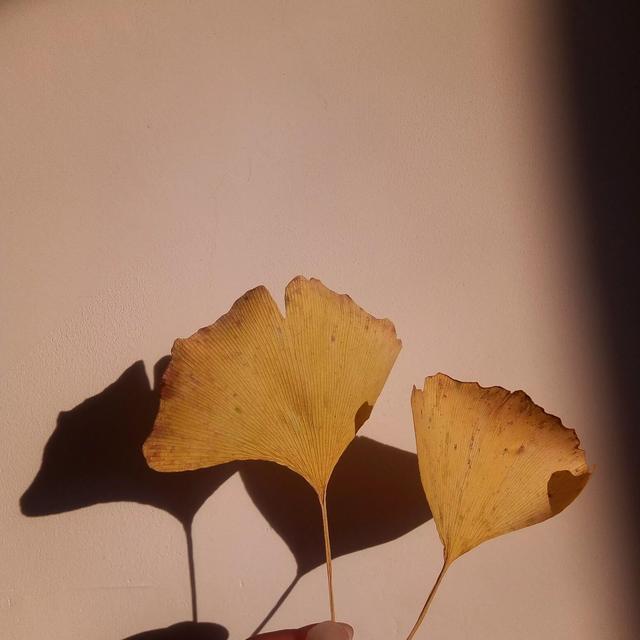 日落在爱情里的寓意，黄昏在爱情里代表什么（再见和日落的寓意都是未完待续）