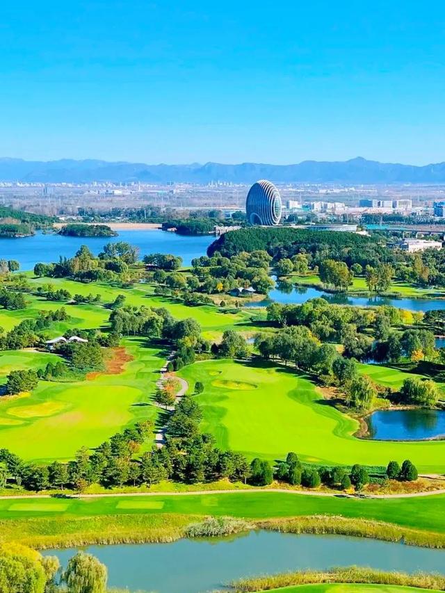 不如名师指路前面一句是什么，不如名师指路前面一句是什么成语（就是看透而不说透）