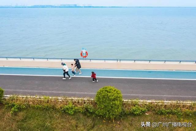 广州哪里可以看海，广州旅游看海的地方（广州这些“无敌海景”碧道藏不住了）