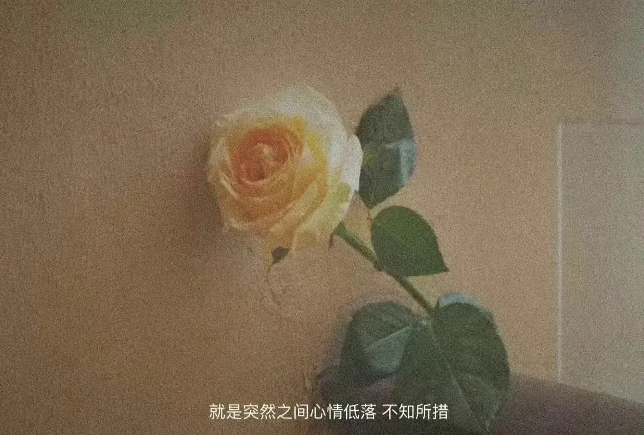 有没有用手机可以做的副业，手机上能赚钱的副业学生？