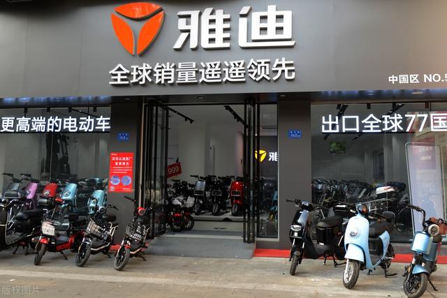 中国电动车十大品牌，中国电动车十大品牌排行榜（电动车“销量10强”）