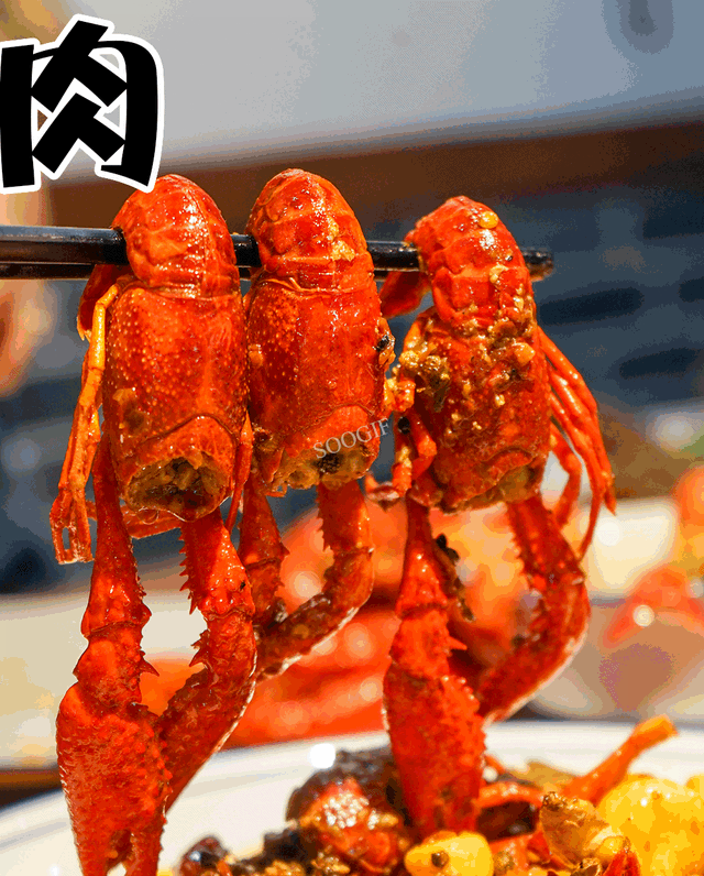 合川钓鱼城有什么美食，来重庆合川吃美食