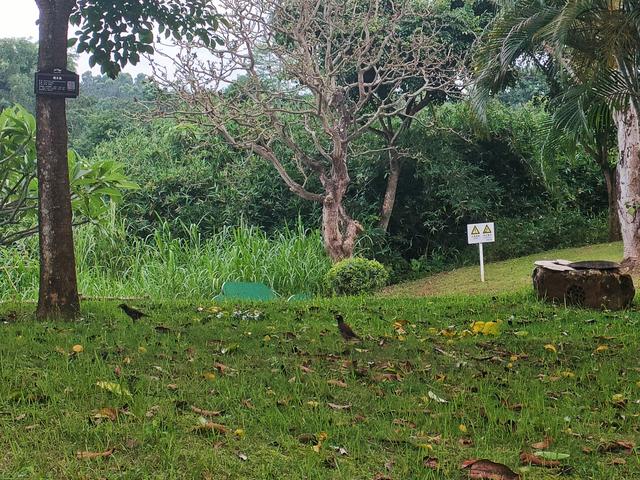 万泉河游览区游玩攻略图，休闲运动的好去处