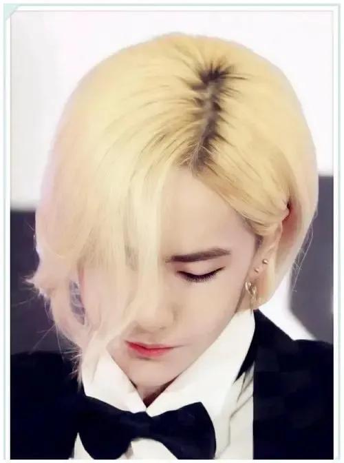 洛阳白牡丹——王一博，为什么叫王一博洛阳白牡丹（洛阳白牡丹—王一博图片）