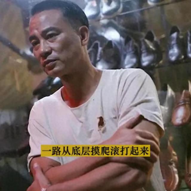 任达华和向华强谁的实力大，任达华和向华强谁更强（赵丽颖背后的大佬实力有多强）