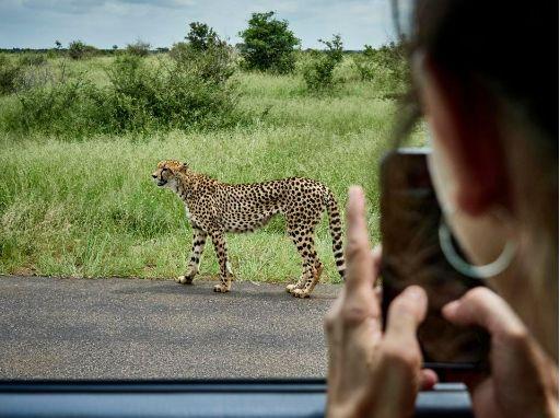 世界旅游景点排名，不可不去的世界十大旅游景点（春暖花开时必备旅行清单）