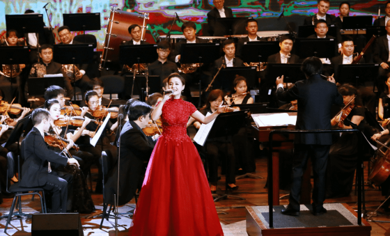 我只不过想唱歌给你听，我只不过想唱歌给你听歌词（女歌唱家从国家大剧院走进直播间获赞百万）