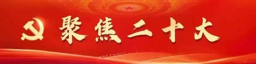 監督檢查的目的意義（什么是監督檢查工作）