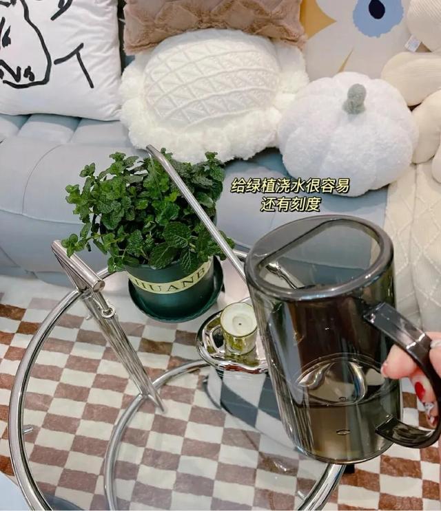 十一月开什么花，十一月什么花开（快来看看你家有没有）