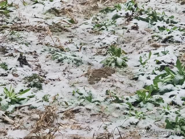 瀚海阑干百丈冰的瀚海指的是，瀚海阑干百丈冰的瀚海是指的什么（瀚海阑干百丈冰）