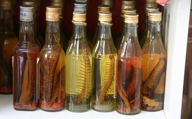 世界上最大的蜈蚣，世界最大的蜈蚣有多大（中国海关查获5条海外“巨型”蜈蚣）