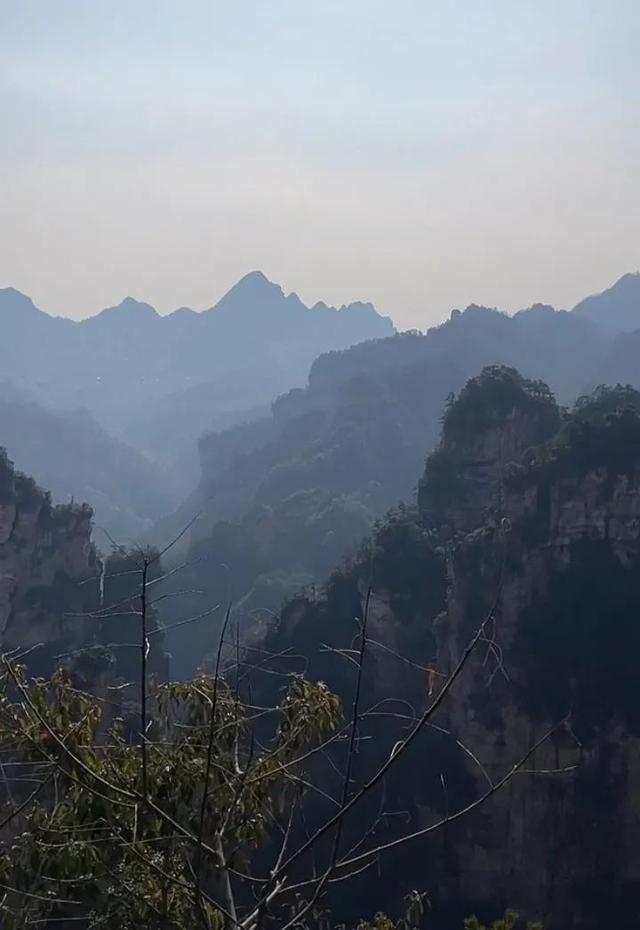 不惑之年是什么，不惑之年是什么生肖（指的是过40吗）