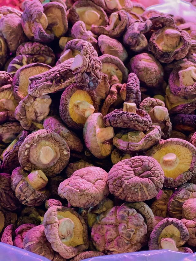 银耳多少钱一斤，黄金银耳的种植前景（盘溪批发市场给的）