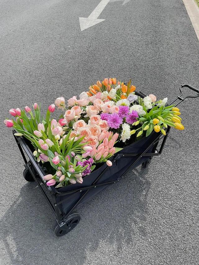 花朵系列背景图，花朵背景图片大全高清唯美（温馨又治愈的花朵背景图）