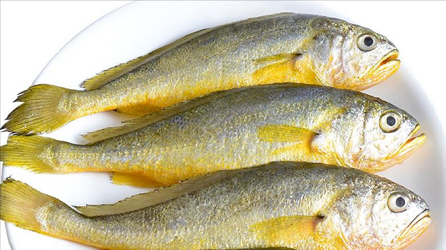 什么鱼适合清蒸，什么鱼适合蒸（带你认识不同的鱼和吃法）