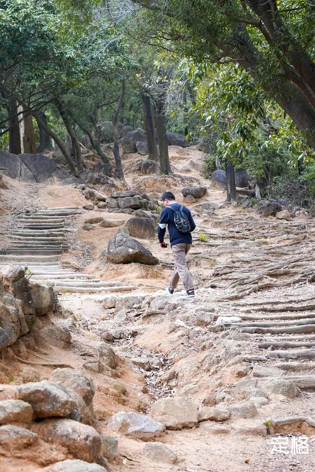 深圳一日游免费必去的地方，深圳最适合一日游的15个免费景点（深圳10个小众打卡地）