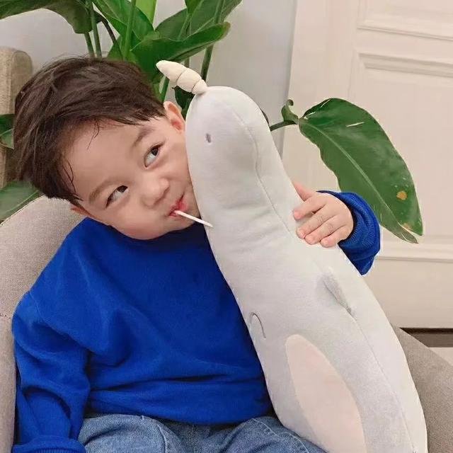 头像+壁纸微信，头像+壁纸（朋友圈背景图+微信头像合集）