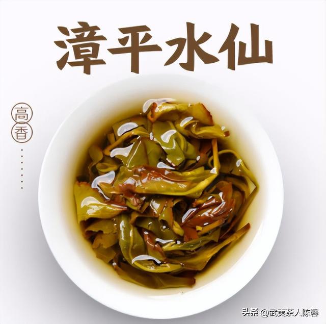 漳平水仙茶属于什么茶，漳平水仙茶叫什么（茶知识 ， 什么是漳平水仙）