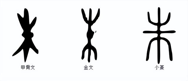 朱的拼音和组词，朱的拼音和组词怎么写（说文解字：朱）