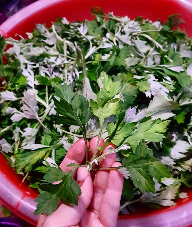 端午节的寓意和象征，端午节象征着什么寓意和意义（端午节的含义、由来及习俗）