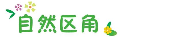 幼儿园环创主题墙图片，简单上档次幼儿园环创（春天你好丨幼儿园春季主题环创系列）