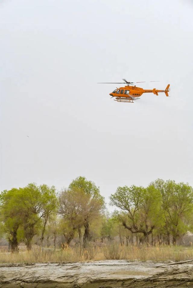 我国最长的河流是什么，世界最长河流排名前十（塔里木河到底有多重要）