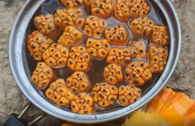 野菠萝能吃吗，你误买过野菠萝、海菠萝、山菠萝、假菠萝吗