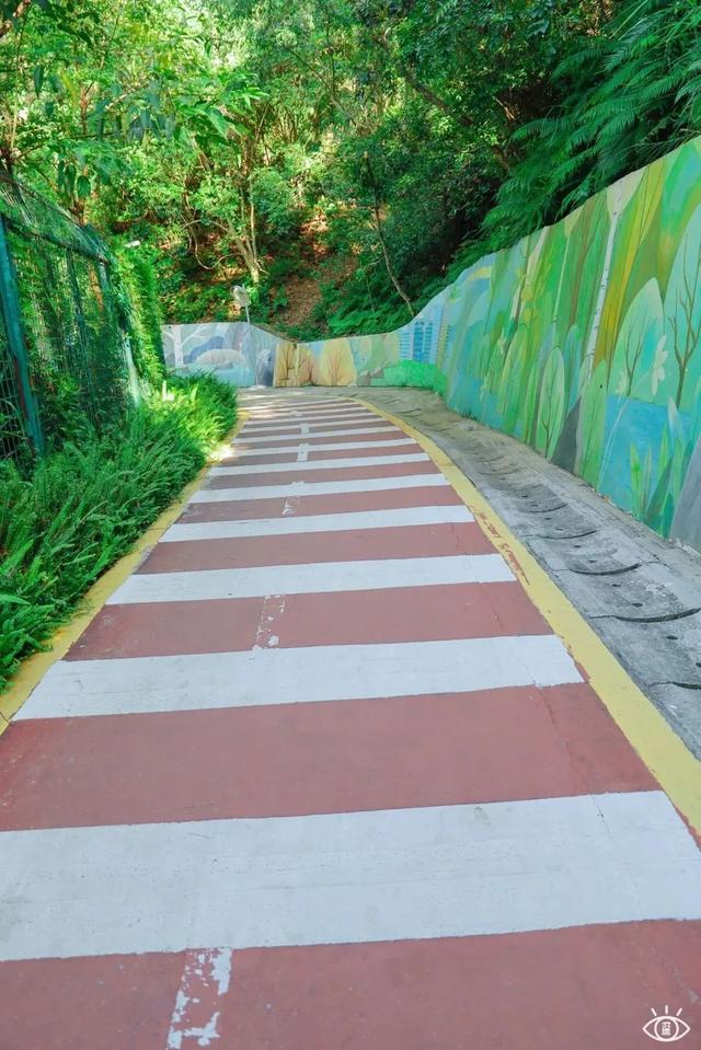 深圳徒步路线推荐，深圳海滨栈道徒步最佳路线（深圳10条徒步路线）
