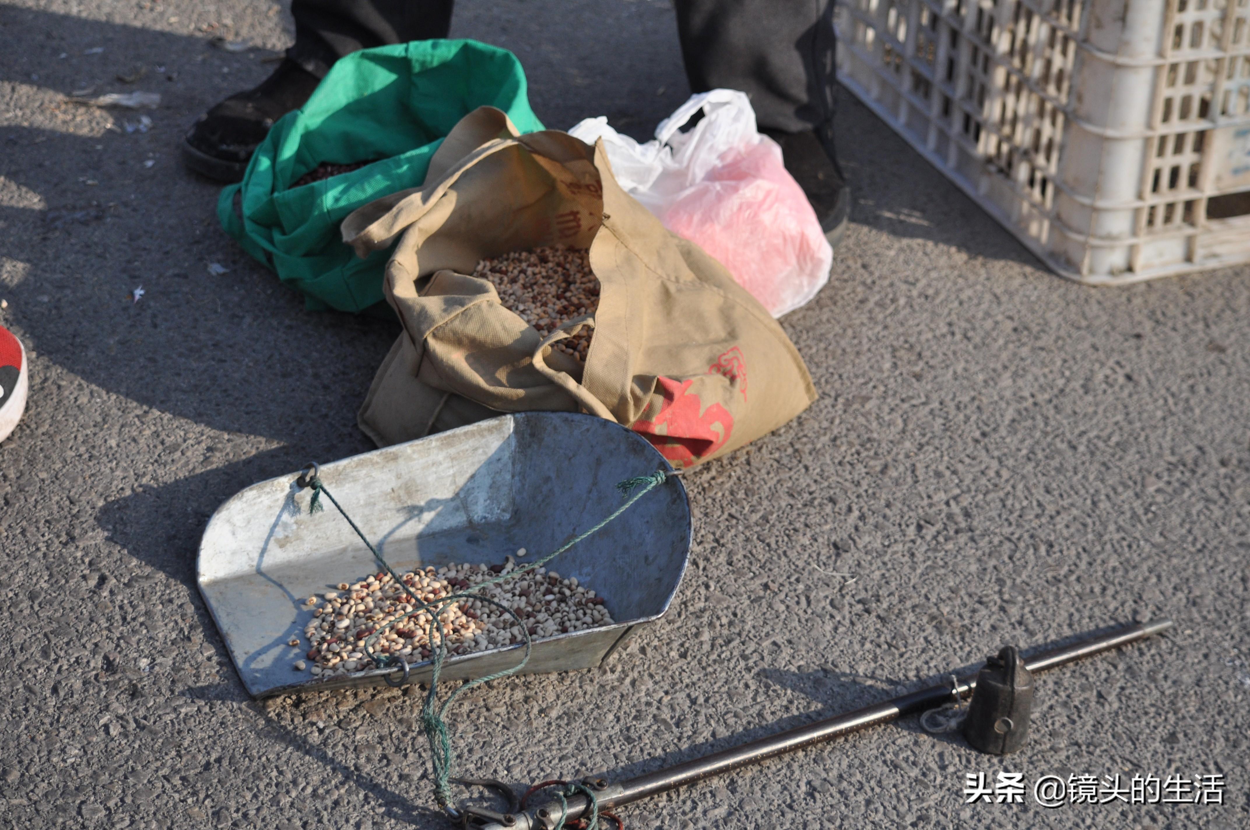 红豆多少钱一斤，今日免价是多少钱一斤（72岁大爷骑行五十里地）