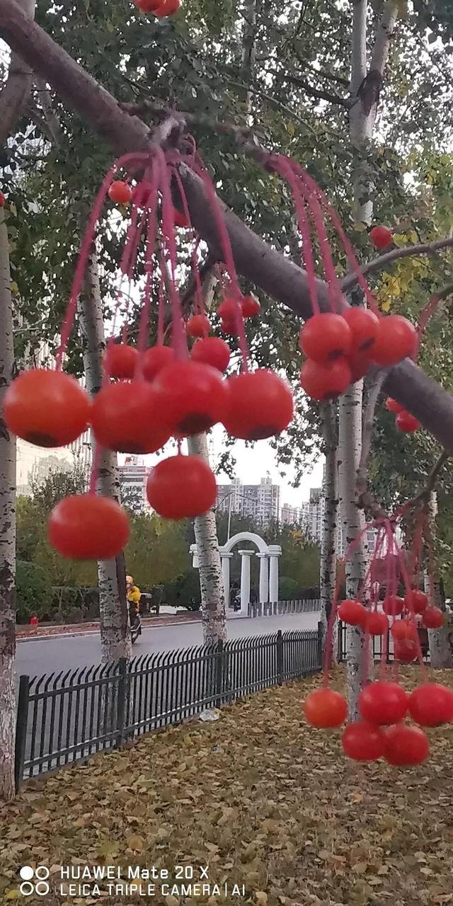 灵魂相似的人一旦相逢，灵魂相似的人一旦相逢是知心朋友（总有一天会在路上相逢）