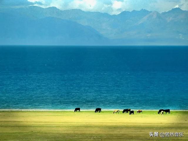 塞林木是什么意思，闽南语塞林木是什么意思（新疆这三大知名湖泊是否值得一游）