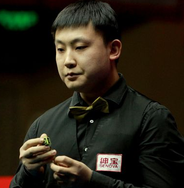 中国斯诺克选手，斯诺克选手中国16强是谁（你所知道的中国球员之世界排名以及总奖金表）