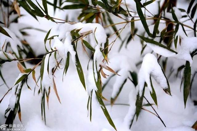 心灵的归宿，家是我们的避风港是心灵的归宿（心灵的归宿唯美句子）
