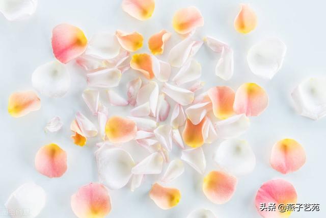 关于立春的经典诗，关于立春的经典古诗（开启诗情画意的一年）