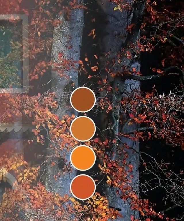 什么的季节填合适的词，什么的季节填上合适的词语（温暖、明亮又时髦）