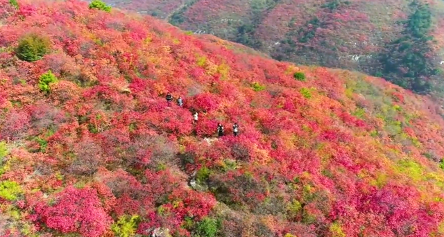 伏羲山大峡谷的主要景点，伏羲山大峡谷景区一日游攻略（打卡郑州必去6大山水景点）