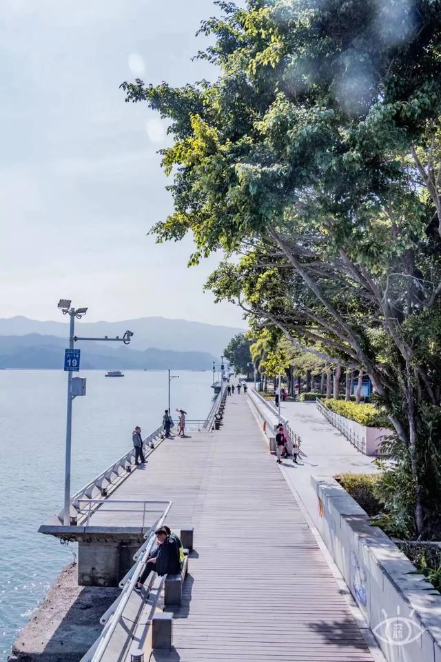 深圳好玩的免费景点，深圳哪里好玩的景点（来深圳这10个地方免费玩）