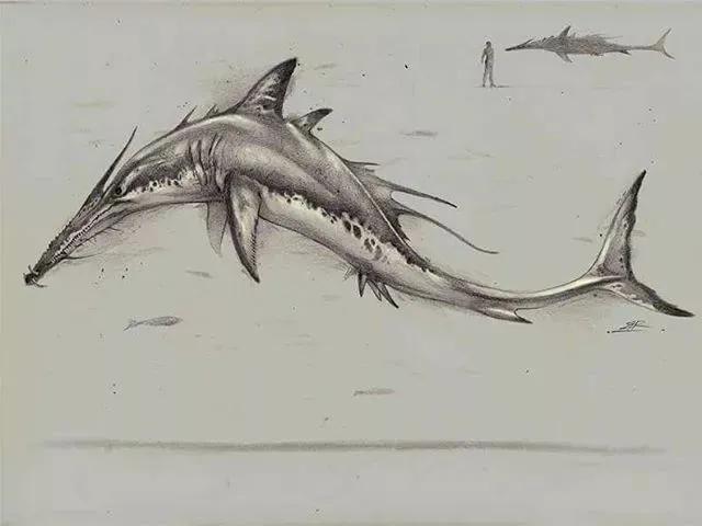 牛怎么画简单又漂亮，正方形简笔画之如何画牛（用作简单的绘画工具）