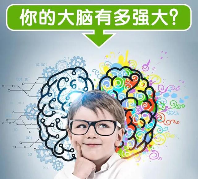 孩子智力开发最佳年龄，孩子智力开发最佳年龄是多少岁（从小培养孩子的逻辑思维能力）