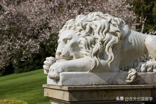 生物科学考研可以选的学校，生物科学专业考研学校排名（加拿大硕士留学申请丨这些要求相对较低的学校和专业了解下）