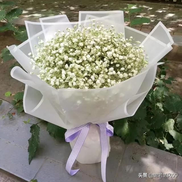 满天星代表什么花语(满天星是什么花语意思)