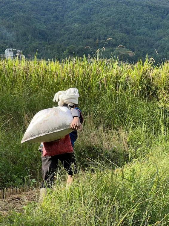 56个民族人口排名，中国民族人口排行榜（这些“野”知识你必了解）