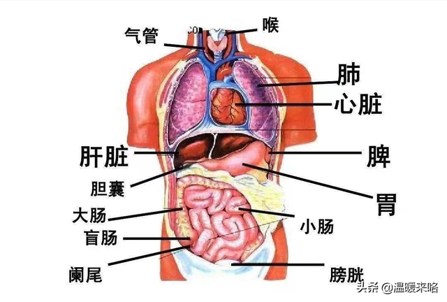 婴幼儿的年龄段是几岁到几岁，婴幼儿是指几岁到几岁（婴幼儿的年龄分期及各期特点）