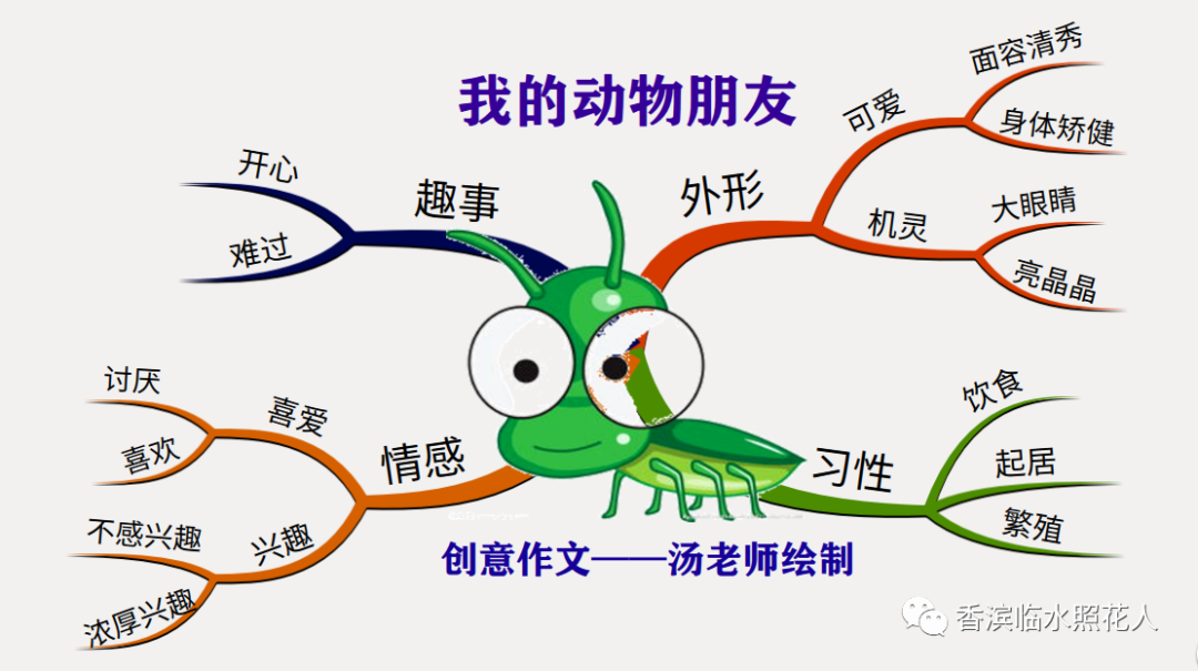 仙人掌作用作文(仙人掌的作用作文450字)-米亚号