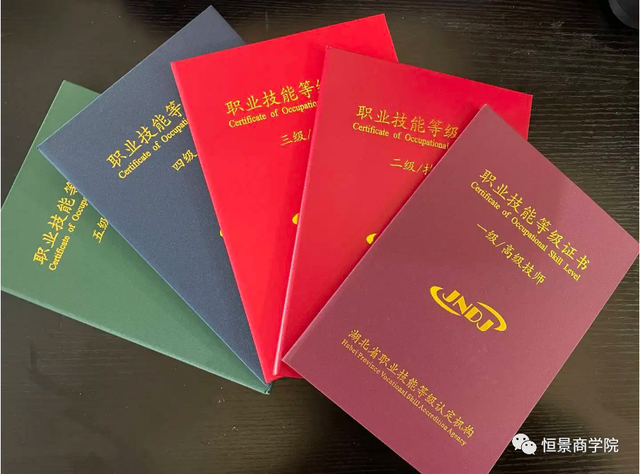 护士资格证电子版查询，怎么查询护士资格证书电子版（健康照护师技能证书）