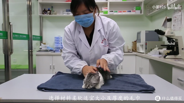 口加巴是什么字，口和巴加起来是什么字（猫咪喂药的方法推荐）