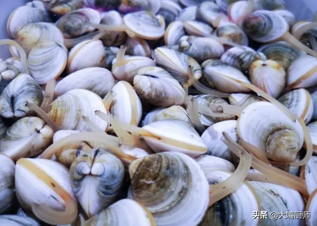 花甲怎么洗最快最干净，花甲怎么洗最快最干净最快（用盐水泡不靠谱）
