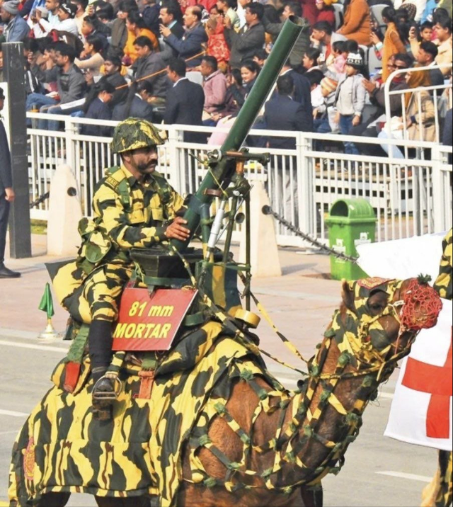 马戏团动物表演，马戏团表演有哪些节目（印度雾霾阅兵又成快乐源泉）