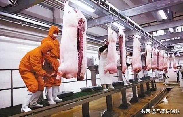 养殖业什么最赚钱农村，这3个农村致富好项目