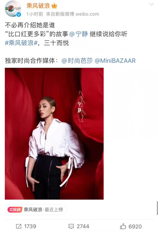 乘风破浪的姐姐们，乘风破浪的姐姐们名单（《乘风破浪》官宣全阵容）